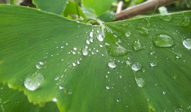 How to get to our office?